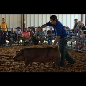 Meet your Posher, Wade